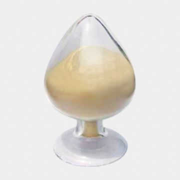 Tuber Onion Seed Extract